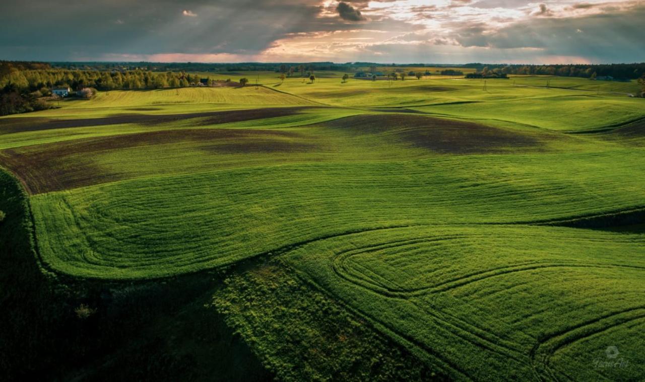 Agroturystyka Lisa Mlyn Najmowo ภายนอก รูปภาพ