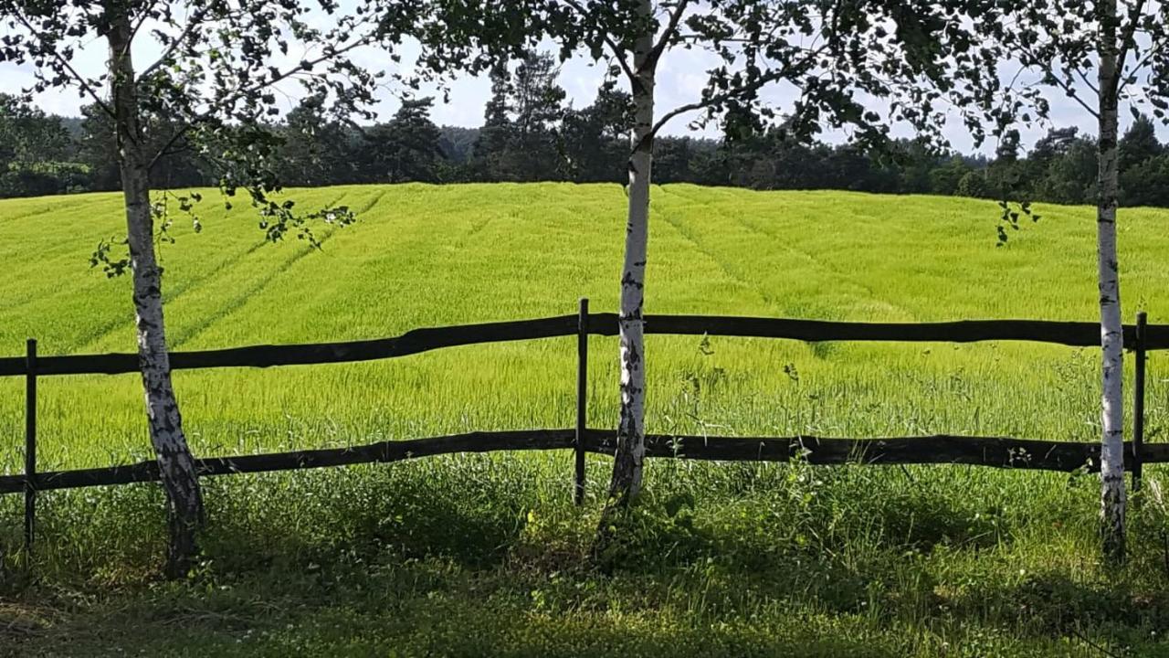 Agroturystyka Lisa Mlyn Najmowo ภายนอก รูปภาพ