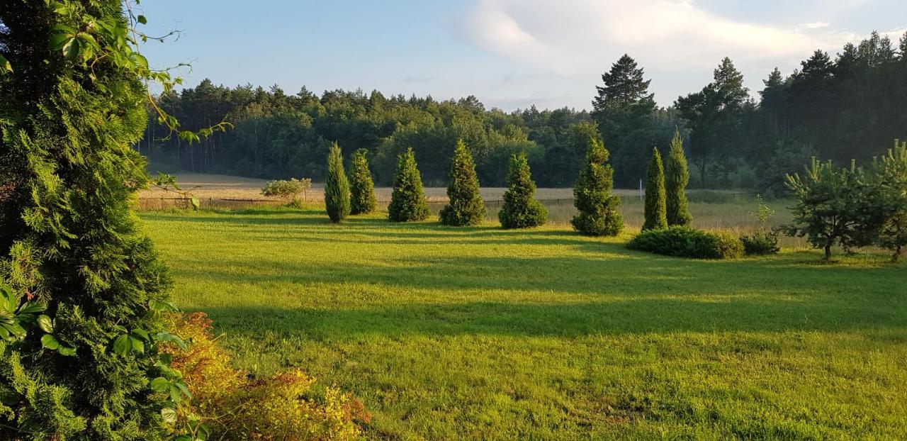 Agroturystyka Lisa Mlyn Najmowo ภายนอก รูปภาพ